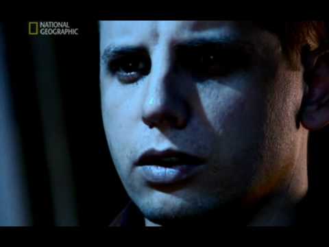 Superhuman intelligence through magnetic stimulation